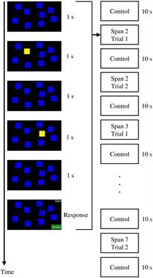 Photobiomodulation may enhance cognitive efficiency in older adults: a functional near-infrared spectroscopy study